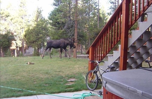 Fraser House | Enjoy great views from the hot tub at this mountain getaway.