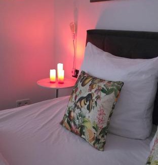 Stuttgart Apartment | Exotic Tropical Palace - ComfyHome Apartments Stuttgart