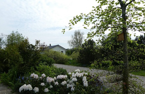 Olpenitz House | Ferienhaus Silbermöwe