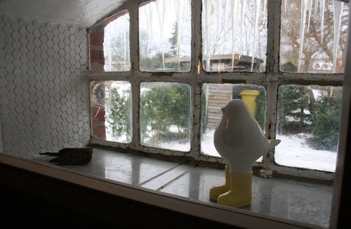 Niebuell Apartment | Ferienwohnung Austernfischer
