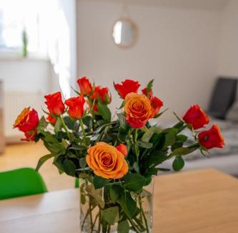 Friedrichshafen Apartment | Ferienwohnung Charlotte Sonnenschein