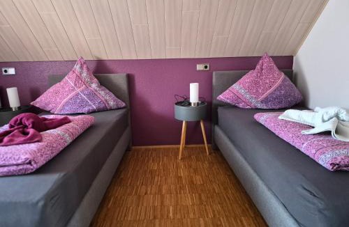 Lauda Apartment | Ferienwohnung Pflüger mit Terrasse