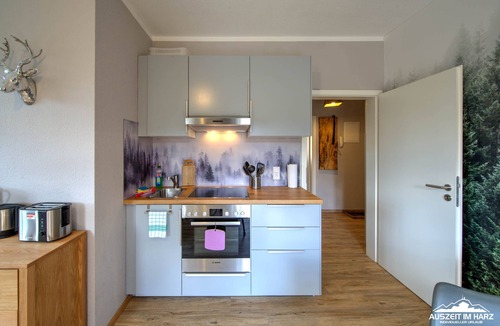 Schierke Apartment | Ferienwohnung Wurmberg