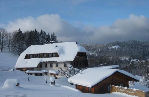 Wittenschwand Apartment | Flat in Dachsberg with garden and panoramic view