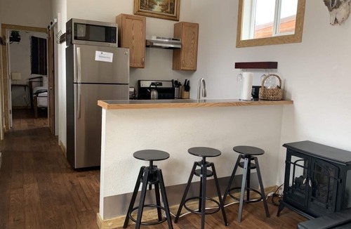 Idaho Springs Cabin | Fully-Furnished 2 BR Mountain Cabin in the Rockies