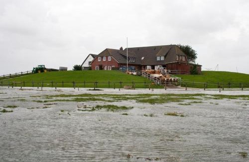 Hallig Langeneß Apartment | Gästehaus Neuwarft