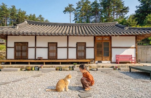 Gangneung House | Gangneung ggabinejip hanok pension
