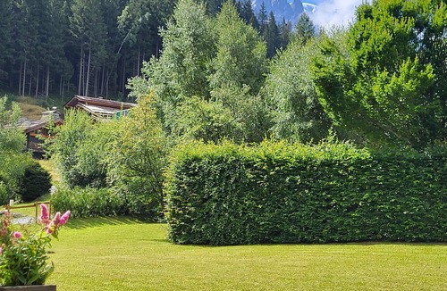 Le Lavancher Apartment | GARDEN LEVEL FACING MONT BLANC FOR 4 PEOPLE