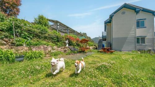 Geoje House | Geoje Youngsu Pension
