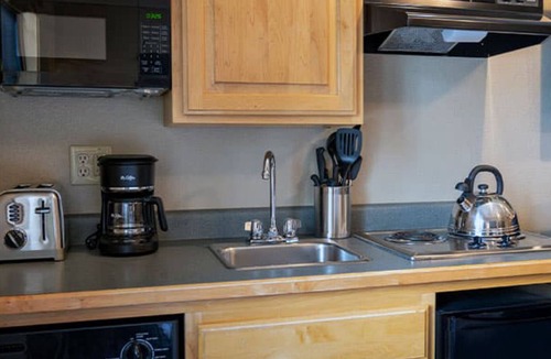 Four O'Clock Cabin | Grand Timber Lodge Studio Ski In/Out Breckenridge Feb 8-15, 2026