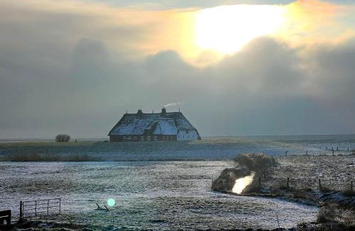 Hallig Langeneß Apartment | Hallig Hüs