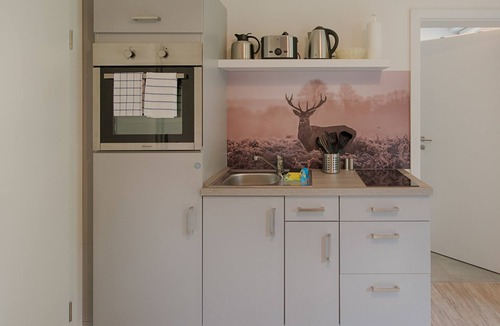 Schierke Apartment | Haus 2 Ferienwohnung 2