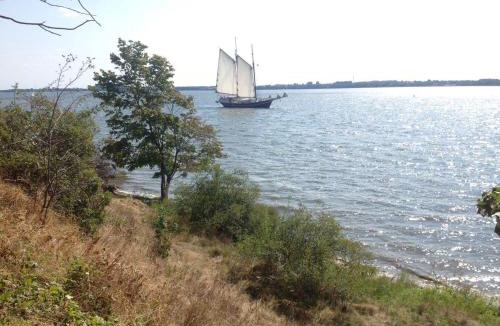 Danholm Boat Rental | Hausboot Dänholm