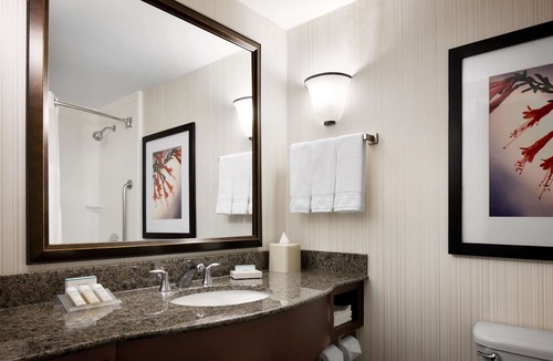Meridian Hotel | Hilton Garden Inn Denver South Park Meadows Area
