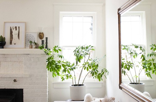 Downtown House | Historic Artists Home in Mapleton Hill