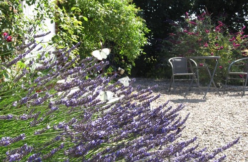 Stoltebuell Apartment | Holiday flat in Stoltebüll with small terrace