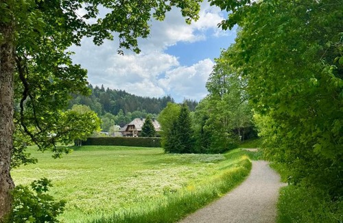 Hinterzarten Bed & Breakfast | Hollhouse - Bed & Breakfast