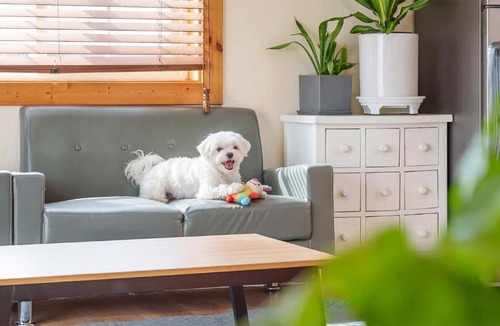 Seo House | Hongcheon Lime Orange Pension