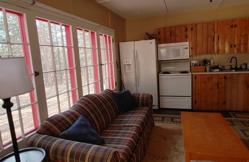 Woodland Park Cabin | Horses and Walking Trails Right Outside Your Door!