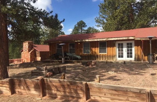 Woodland Park Cabin | Horses and Walking Trails Right Outside Your Door!