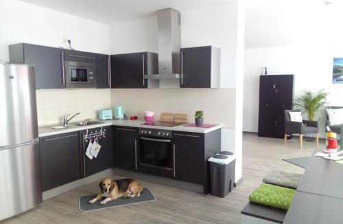 City Centre Regensburg Hostel | Hostel am Ostentor