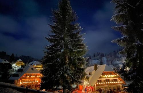 Neuglashutten Hotel | Hotel & Restaurant Grüner Baum - Die Grüne Oase Am Feldberg