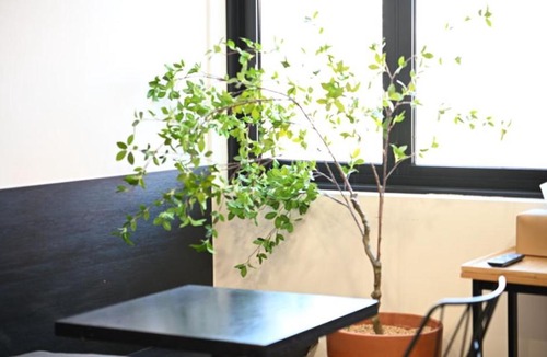 Daedeok-gu Hotel | HOTEL STAY AYANA DAEJEON