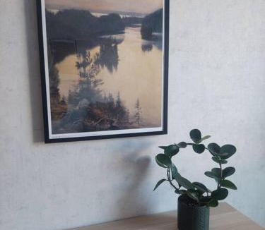 Pieksamaki Apartment | Kodikas kaksio Pieksämäen keskustasta