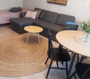 Pieksamaki Apartment | Kodikas kaksio Pieksämäen keskustasta