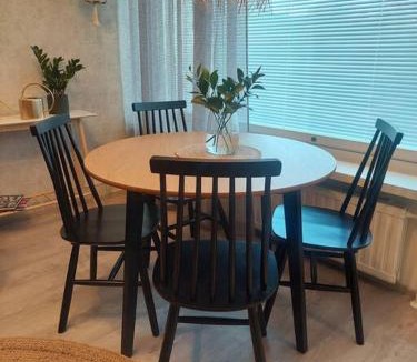 Pieksamaki Apartment | Kodikas kaksio Pieksämäen keskustasta