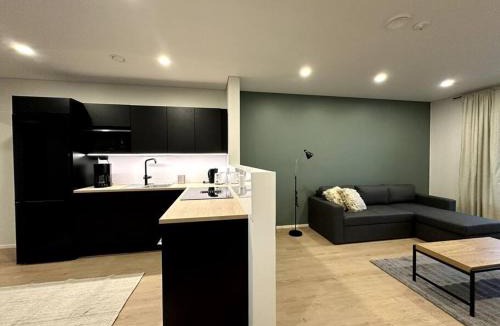 Seinajoki Apartment | Kotimaailma Apartments #6 - Hieno ja tilava kaksio keskustassa