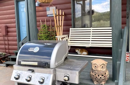 Lake George Cabin | Lake George Cabins & RV Park, Cabin 7, Horse, Mule and Geese