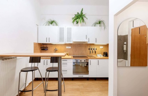 Bubenec Apartment | Large city apartment