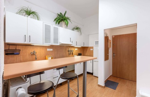 Bubenec Apartment | Large city apartment