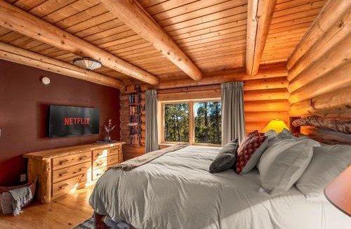 Fairplay House | Last Light Lodge XL Hot Tub, Arcade, 14er Views
