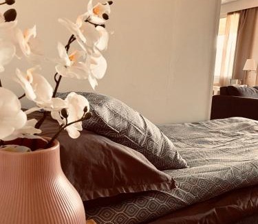 Teuva Apartment | Leipurinkuja 5 A2 - yksiö Teuvan keskustassa