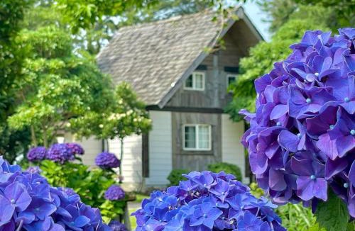 Aewol House | Log Park Dochidol Ranch