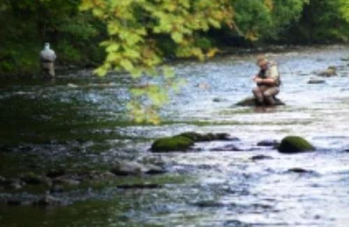 Sojovice Other | Luxusní glamping do přírody u Prahy