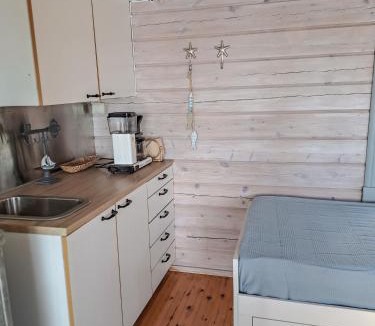 Konnevesi Apartment | Mökki järven rannalla
