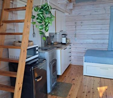 Konnevesi Apartment | Mökki järven rannalla