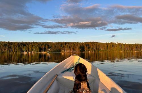 Koli National Park Ski Chalet | Maatilamatkailu Jänisvaara