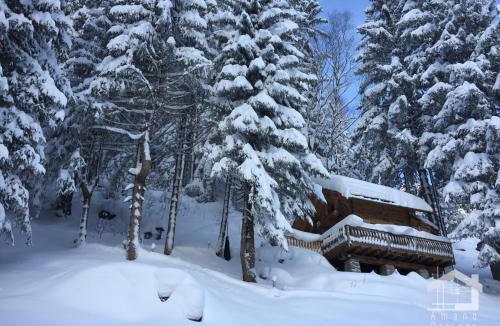 Argentiere Ski Chalet | "Mazot de la FIS" - Mazot de Charme avec Vue Imprenable