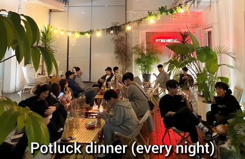 Seogwipo City Hostel | Mido Hostel