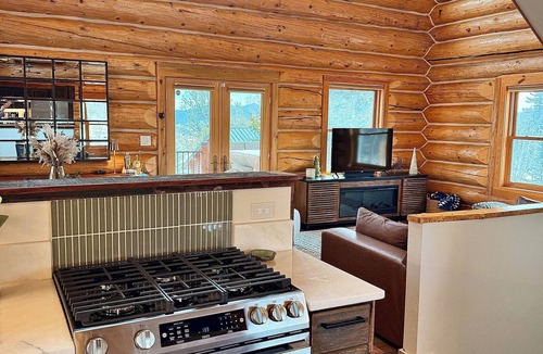 Stagetop Cabin | Modern Log Cabin Retreat: Hot Tub + Fenced Dog Area + Privacy + Starlink + Views