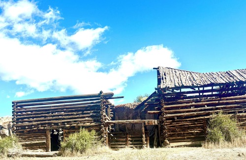 Capulin Cabin | Modern Rustic Appeal with the Wild Rio Grande National Forest as your backyard!
