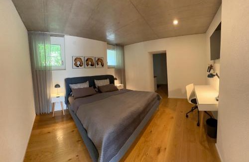 Waldshut-Tiengen House | Moderne Ferienwohnung Rhenum mit Wallbox