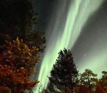 Saariselka Villa | Moderni puuhuvila erämaan reunalla Kiilopäällä