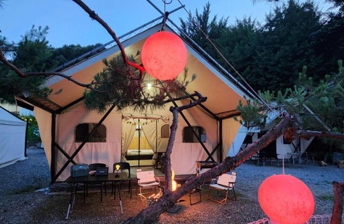 Gapyeong Other | Nami Island Best Camping