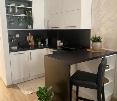 Prague 5 Apartment | New Modern Apartment Prague, Free Parking, Gym