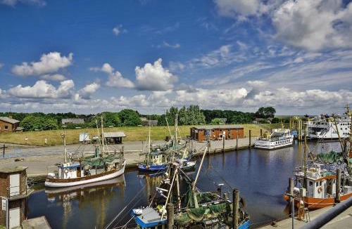 Pellworm Apartment | Nordseeblick Wohnung Möwe